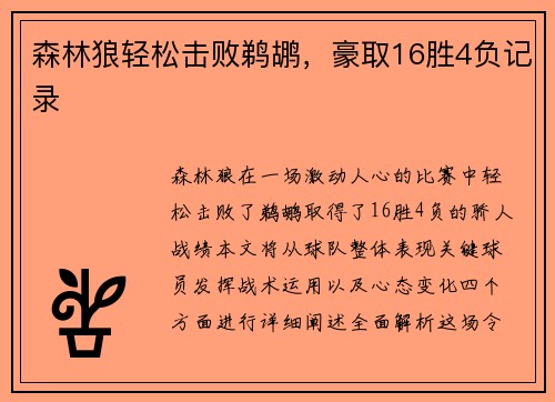 森林狼轻松击败鹈鹕，豪取16胜4负记录